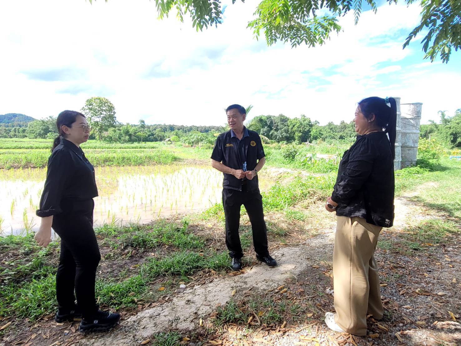 title - หัวหน้าผู้ตรวจราชการ ส.ป.ก. ประชุมติดตามผลการดำเนินงานตามแผนการตรวจราชการของ ส.ป.ก. ประจำปีงบประมาณ พ.ศ. 2569 รอบที่ 2 จังหวัดพะเยา